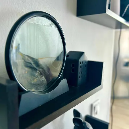 Karolina 65 Appartement